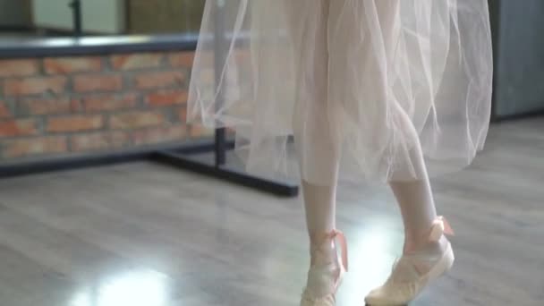 La formazione della ballerina — Video Stock