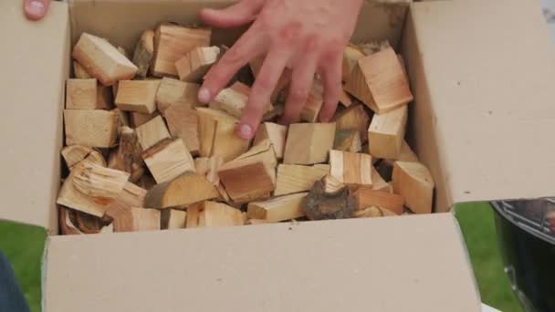 Drewno opałowe do grilla — Wideo stockowe