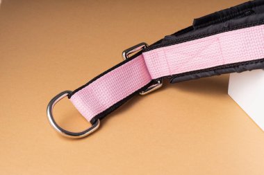 seçici odaklanma, büyük köpekler için yumuşak günlük tasma, renk. Metal montaj halkalarıyla