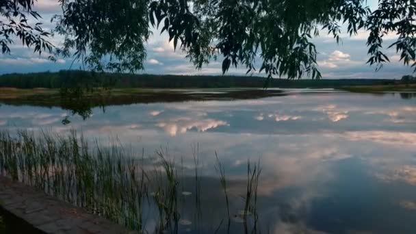 Zomeravond Meer Met Dramatische Hemel Reflectie Water Gras Voorgrond — Stockvideo