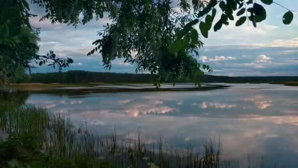 Літній Вечір Озері Драматичним Небом Відображенням Воді Траві Передньому Плані — стокове відео