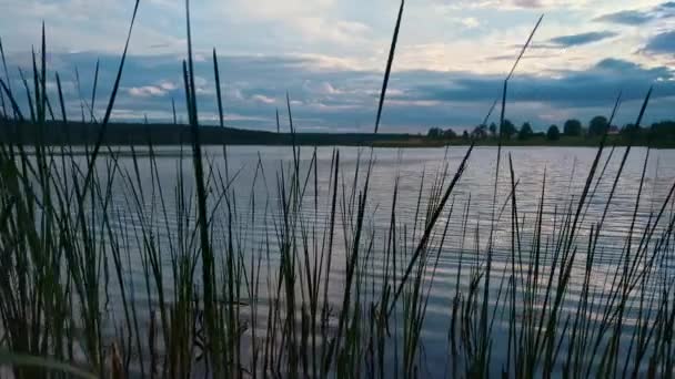 Noite Verão Lago Com Céu Dramático Reflexão Água Grama Primeiro — Vídeo de Stock
