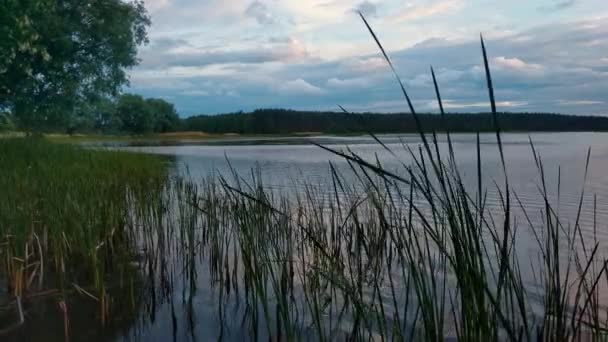 Soirée d'été au lac avec ciel dramatique et réflexion dans l'eau et l'herbe au premier plan 