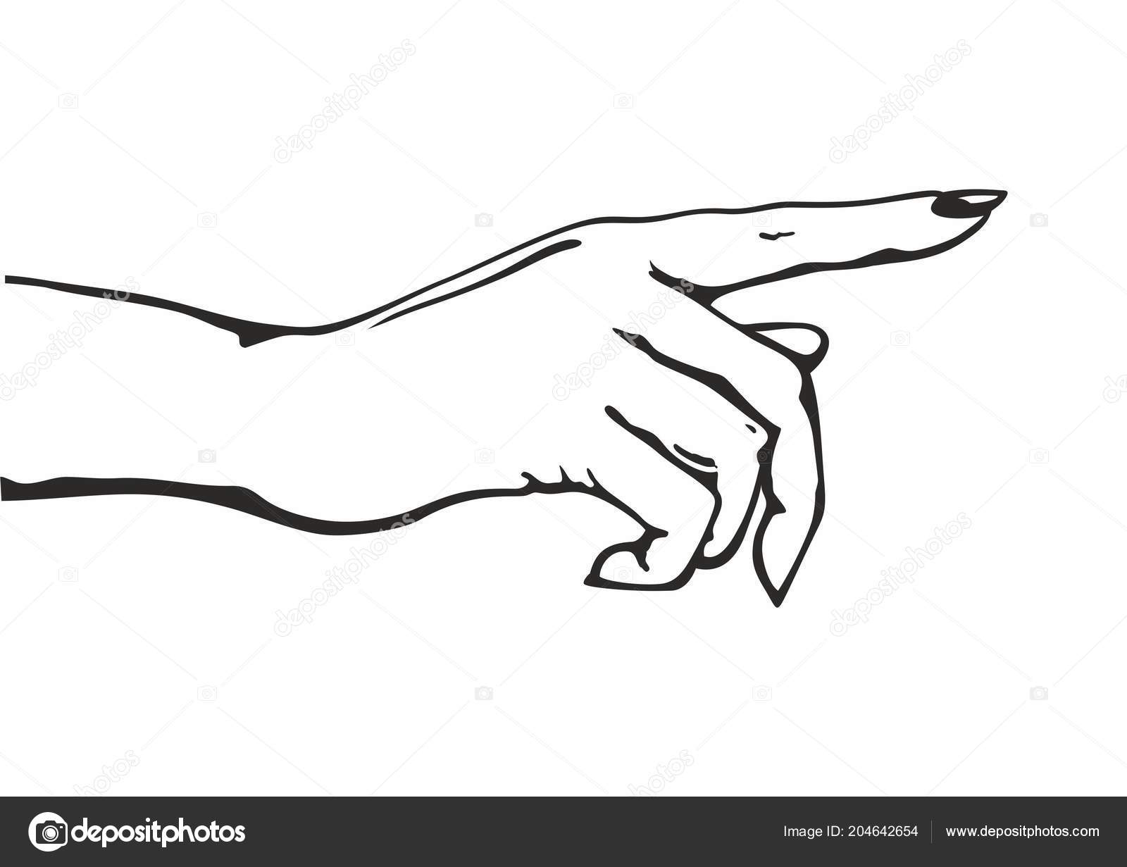 Hand Pointing Finger Vector Illustration Potential Client Politician Businessman Elected Stock Vector C Salivit 204642654