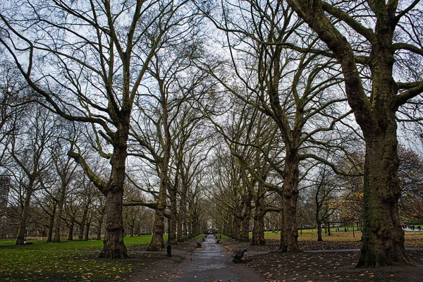 Empty Trail Surrounded Naked Trees Green Park London — Stock Photo, Image