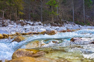 Triglav Milli Parkı'ndaki küçük nehir