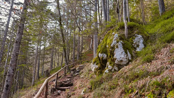 Pittoresco Sentiero Che Porta Alla Cascata Pericnik Paesaggio Foresta Invernale — Foto Stock