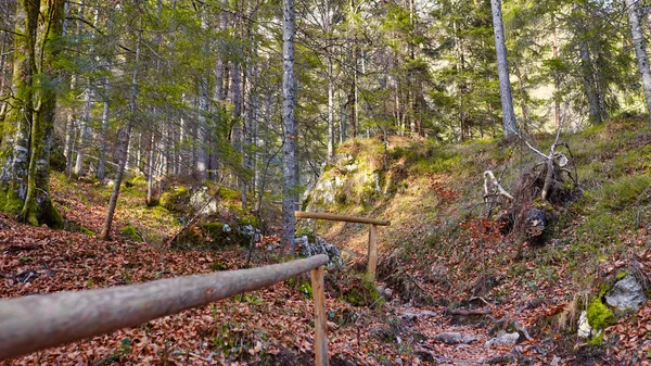 Pittoresco Sentiero Che Porta Alla Cascata Pericnik Paesaggio Foresta Invernale — Foto Stock
