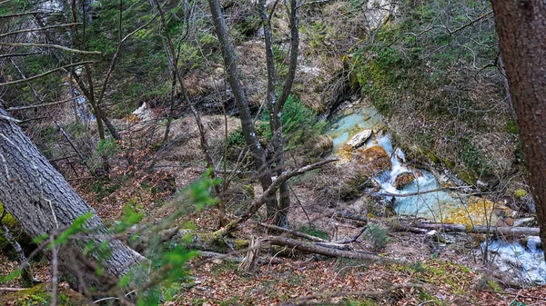 Πανέμορφο Γαλάζιο Ποτάμι Στο Εθνικό Πάρκο Triglav Σλοβενία — Φωτογραφία Αρχείου