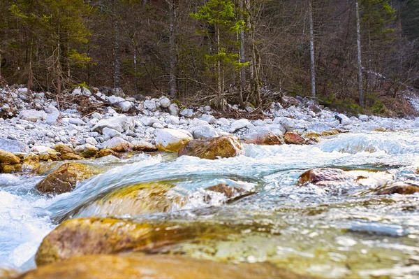 Небольшая Река Триглавском Национальном Парке — стоковое фото