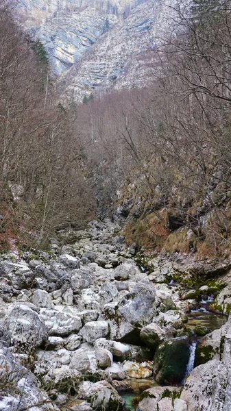 Pittoresco Sentiero Che Conduce Alla Cascata Savica Paesaggio Foresta Invernale — Foto Stock