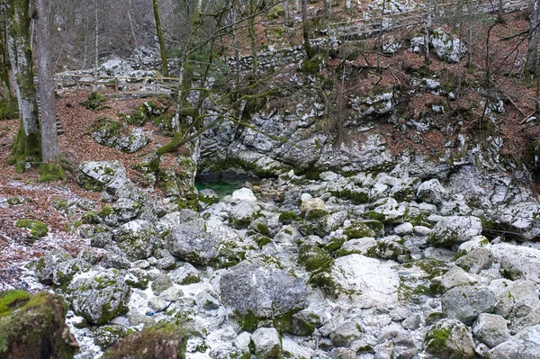 通往萨维卡瀑布的风景如画的小径 冬季森林景观 — 图库照片
