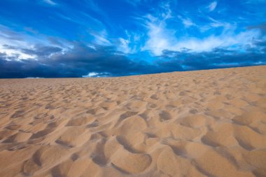 Arka plan manzara çöl. Corralejo dunes Fuerteventura, Kanarya Adaları, İspanya.