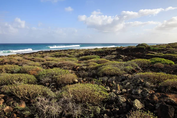 Saaren Rannikko Lanzarote Yleiskatsaus Panoraama Maisemakuva Kasvillisuudella Merellä Etäisyydellä — kuvapankkivalokuva