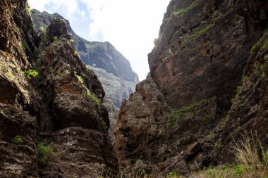 Doğal dağlar peyzaj Masca Gorge, Tenerife, Kanarya Adaları. Doğa arka plan