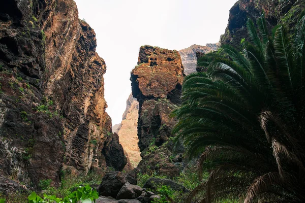 Festői Hegyek Táj Masca Gorge Tenerife Kanári Szigetek Természet Háttér — Stock Fotó