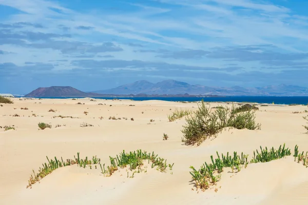 Sandige Wüste Hintergrundlandschaft Corralejo Dünen Mit Vulkanischen Bergen Horizont Fuerteventura — Stockfoto