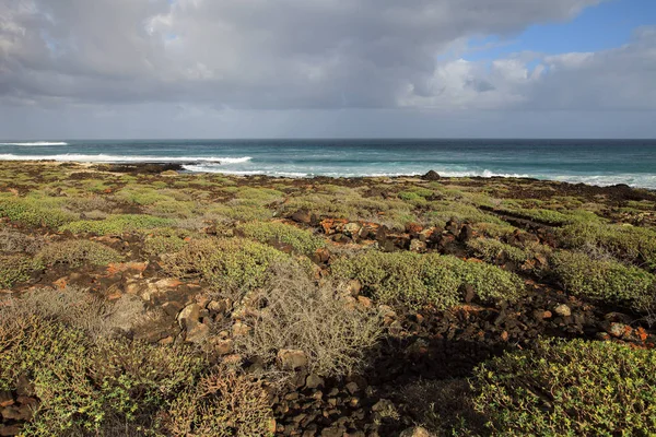 Görünüm Beach Adası Lanzarote, İspanya