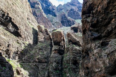 Doğal dağlar peyzaj Masca Gorge, Tenerife, Kanarya Adaları. Doğa arka plan
