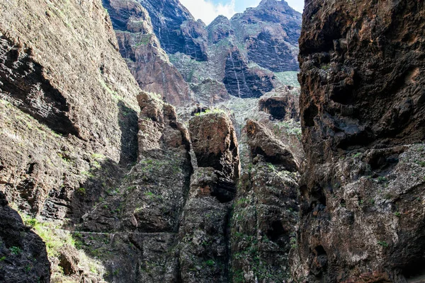 Natursköna Berg Landskap Masca Gorge Teneriffa Kanarieöarna Natur Bakgrund — Stockfoto