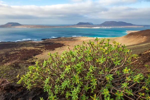 Krásná Krajina Vulkanického Ostrova Lanzarote Kanárské Ostrovy Španělsko Cíl Cesty — Stock fotografie