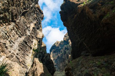 Doğal dağlar peyzaj Masca Gorge, Tenerife, Kanarya Adaları. Doğa arka plan