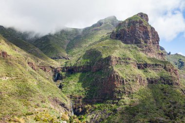 Dağ doruklarına sisin içinde. Tenerife Adası doğa doğal peyzaj