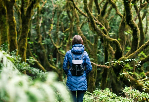 Rückansicht Einer Wanderin Die Wald Spazieren Geht Anaga Landpark Lorbeerwald — Stockfoto