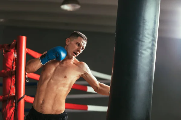 Boxer Schlägt Boxsack Boxstudio Sportliches Trainingskonzept — Stockfoto