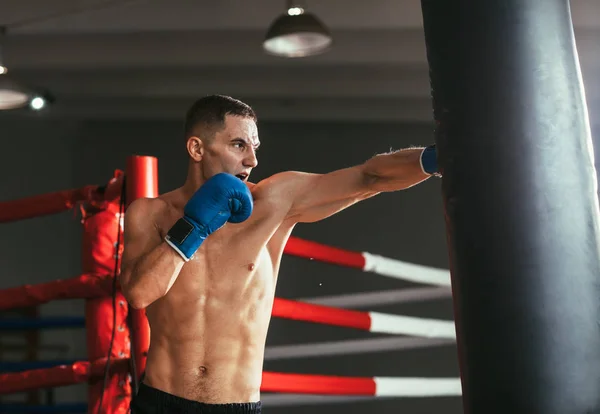 Homem Boxeador Batendo Saco Perfuração Estúdio Boxe Conceito Formação Desportiva — Fotografia de Stock