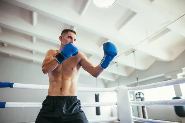 Boxer Maschile Che Combatte Sul Ring Esercizio Boxe Concetto Sportivo — Foto Stock