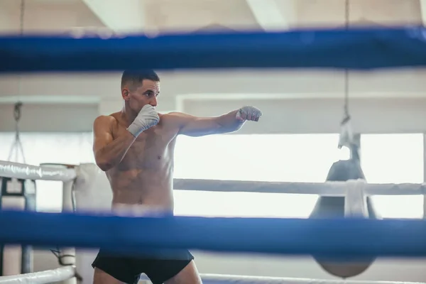 Boxer Masculino Solitário Durante Exercício Boxe — Fotografia de Stock