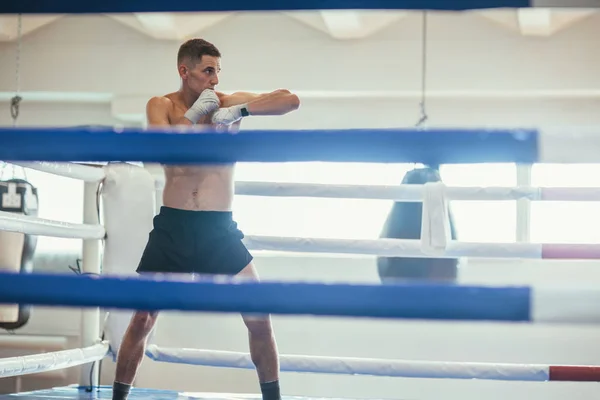 Boxer Maschile Solitario Durante Esercizio Boxe — Foto Stock