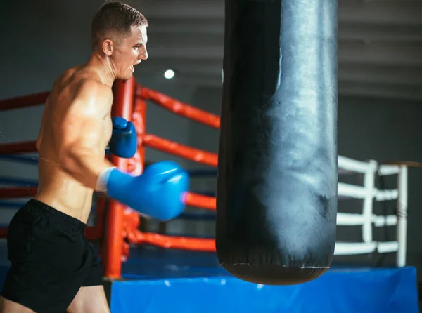 Boxeador Masculino Golpeando Saco Boxeo Estudio Boxeo Entrenamiento Deportivo — Foto de Stock