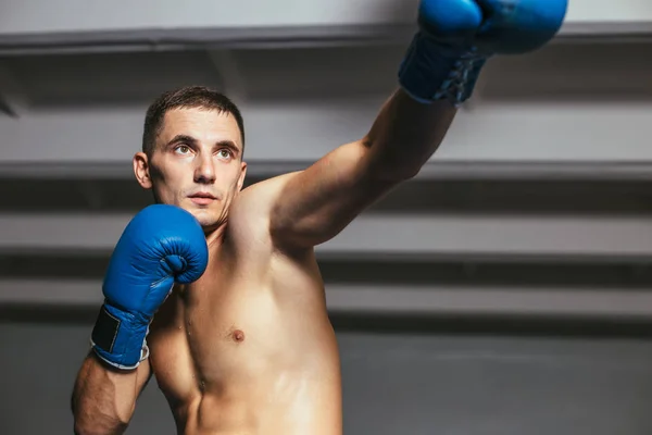 Boxeador Masculino Luchando Guantes Anillo Boxeo —  Fotos de Stock