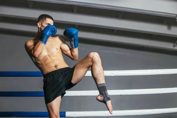 Boxeur Masculin Combattant Dans Des Gants Dans Ring Boxe — Photo