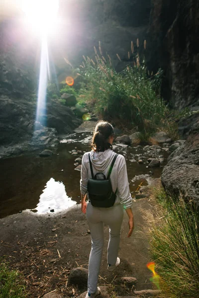 Arkadan Görünüm Gezgin Kadının Lake Yakınındaki Ormanda Yürüyüş Seyahat Kavramı — Stok fotoğraf