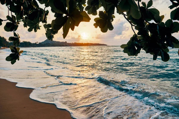 海滩的日落令人惊叹 热带红树林日落背景 — 图库照片