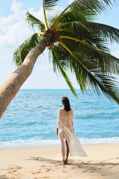 Visão Traseira Jovem Mulher Bonita Relaxar Desfrutar Mar Sob Palmeira — Fotografia de Stock