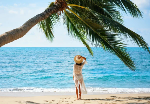 在热带海滩上 漂亮的年轻女子在帽子放松和享受海站在棕榈树下的后面的看法 暑假概念 — 图库照片