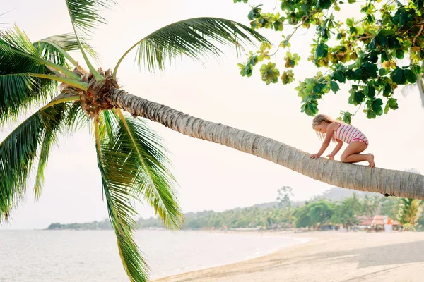 可爱的小金发女孩爬上棕榈树在海滩上 — 图库照片