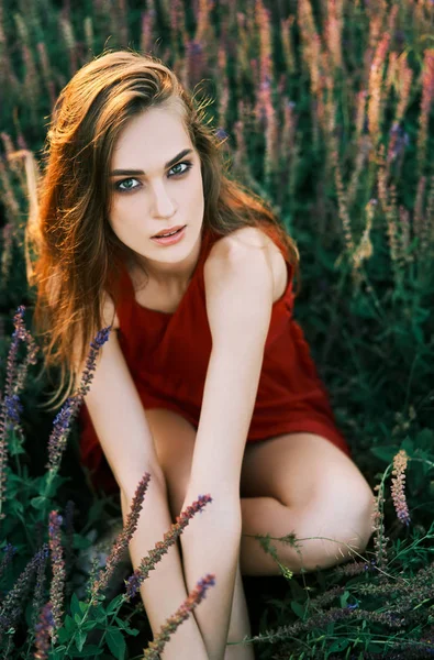 Beautiful Young Woman Posing Sage Field Summer Sun — Stock Photo, Image