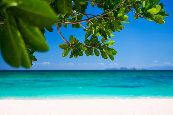 Tropické ostrov příroda pozadí — Stock fotografie