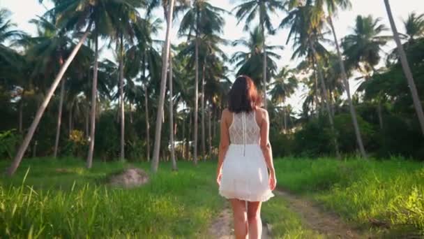 Visão traseira da jovem mulher de vestido branco andando na selva entre palmeiras na ilha tropical — Vídeo de Stock