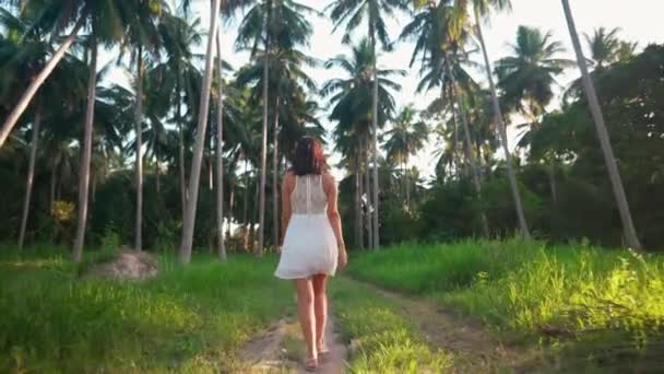 Visão traseira da jovem mulher de vestido branco andando na selva entre palmeiras na ilha tropical — Vídeo de Stock
