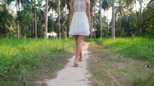 Vista trasera de una joven vestida de blanco caminando en la selva entre palmeras en una isla tropical — Vídeos de Stock