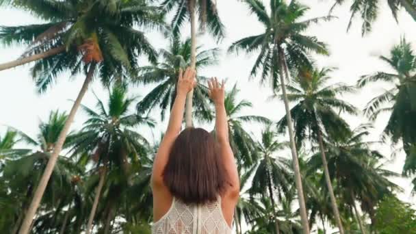 Feliz liberdade mulher levantou as mãos sobre palmeiras desfrutar de suas férias na ilha tropical — Vídeo de Stock
