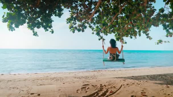 Вид сзади счастливой барышни на качелях на пляже — стоковое видео