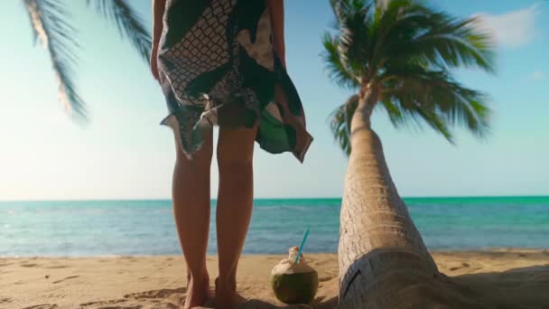 Женщина стоит на песчаном пляже с пальмой босиком в легком платье, дующем на ветру на тропическом острове — стоковое видео