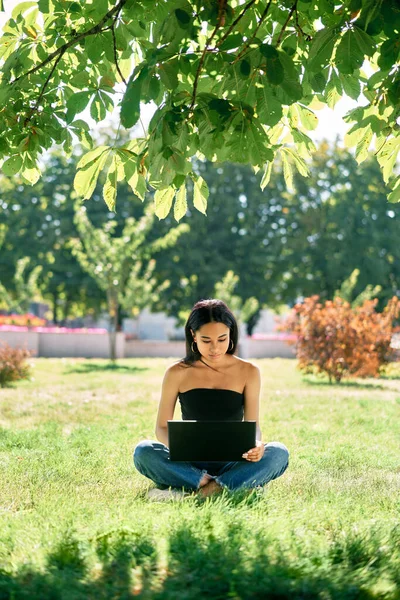 Millennial afro dziewczyna pracuje na laptopie siedzi na trawie w parku — Zdjęcie stockowe